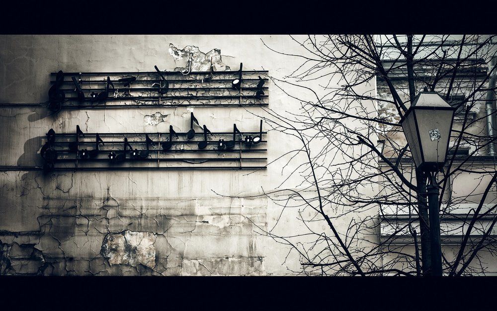 Photograph by Алексей Размашкин