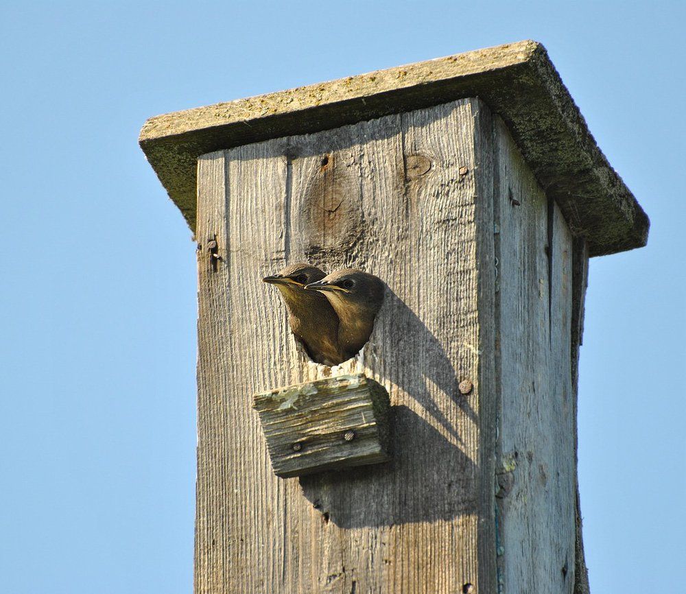 Завтра первый полет