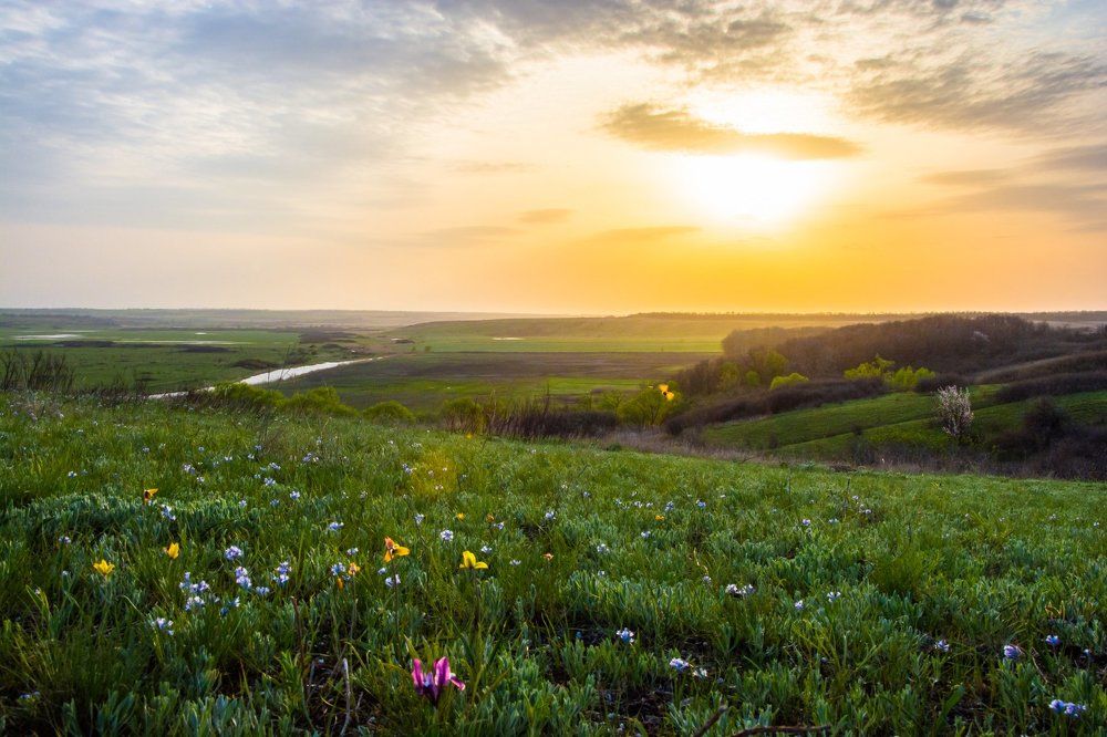 Донские просторы.