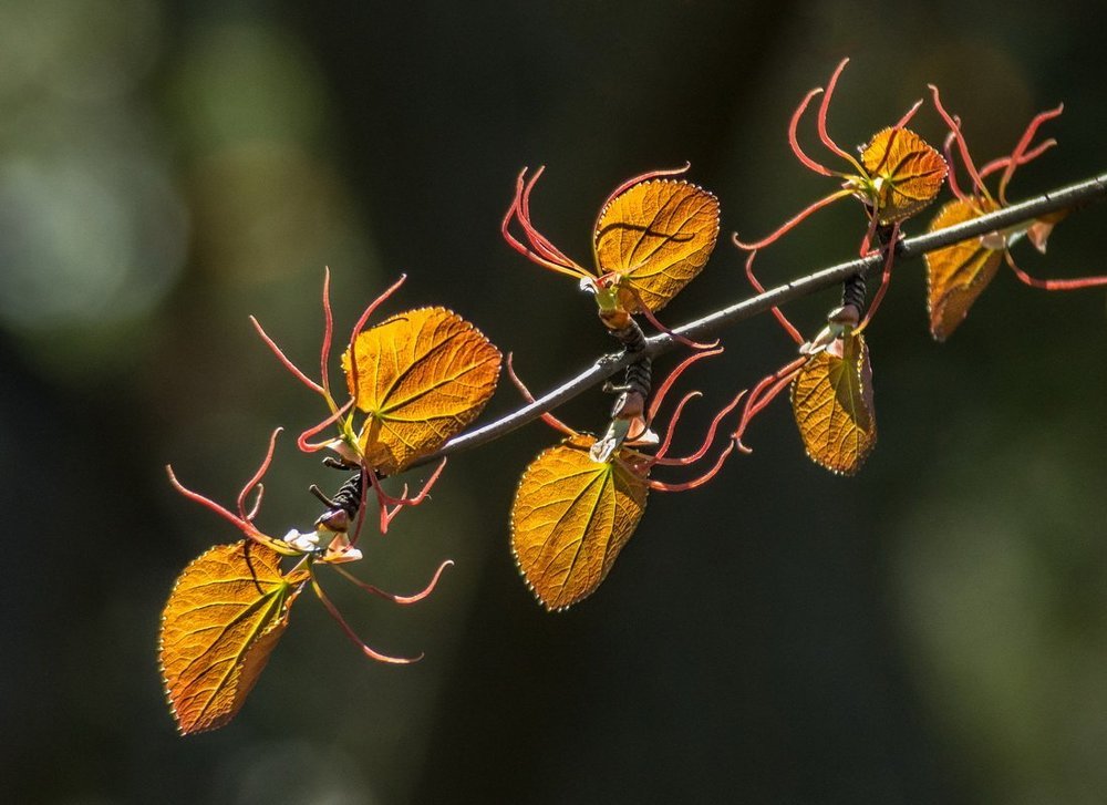 Photograph by Александр Авдушев