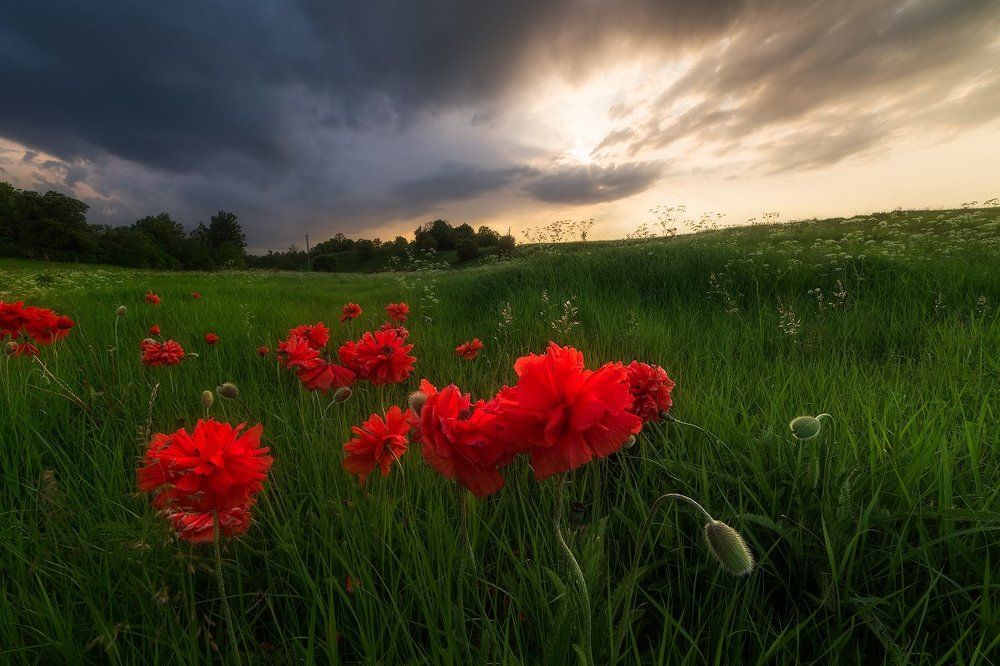Вечер перед грозой