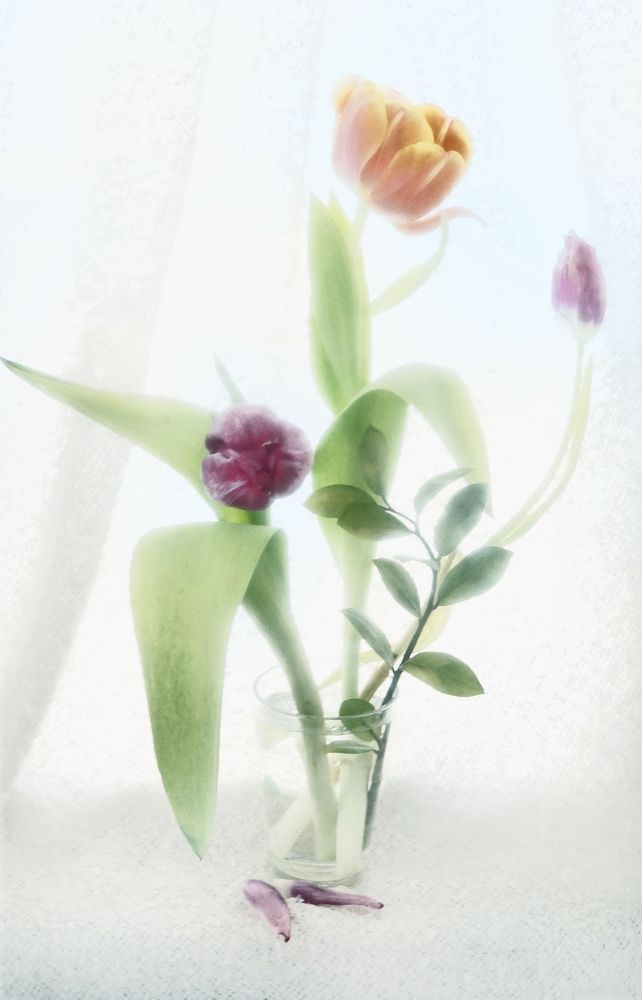 Весенний букет