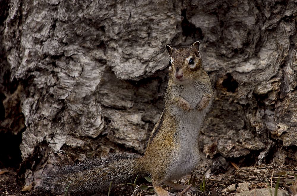 Я такой фотогеничный...