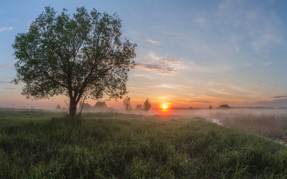 Утренняя роса мая