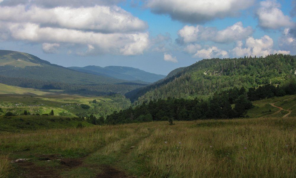 ясное безмолвие