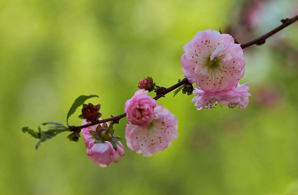 Пробуждение