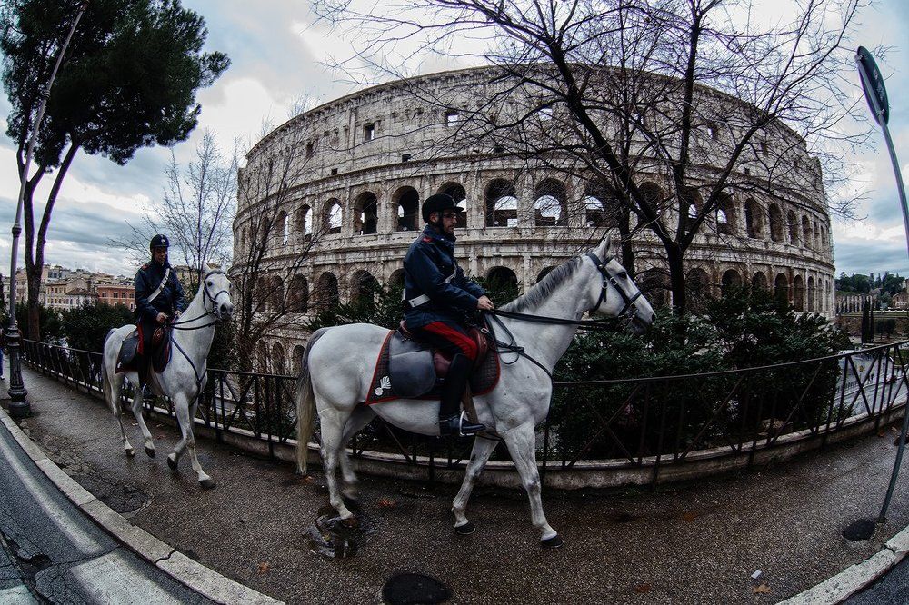 Дневной дозор.