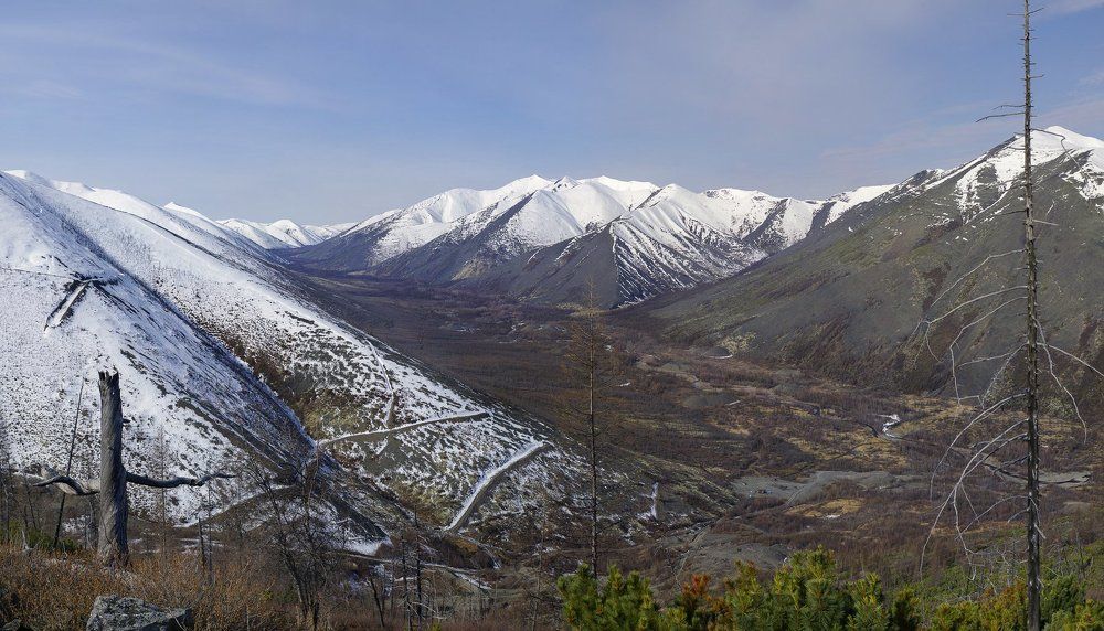 В гости к лешему