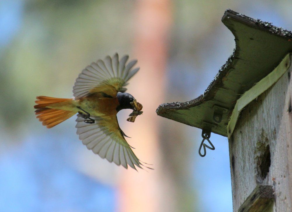 Скорее к детям!