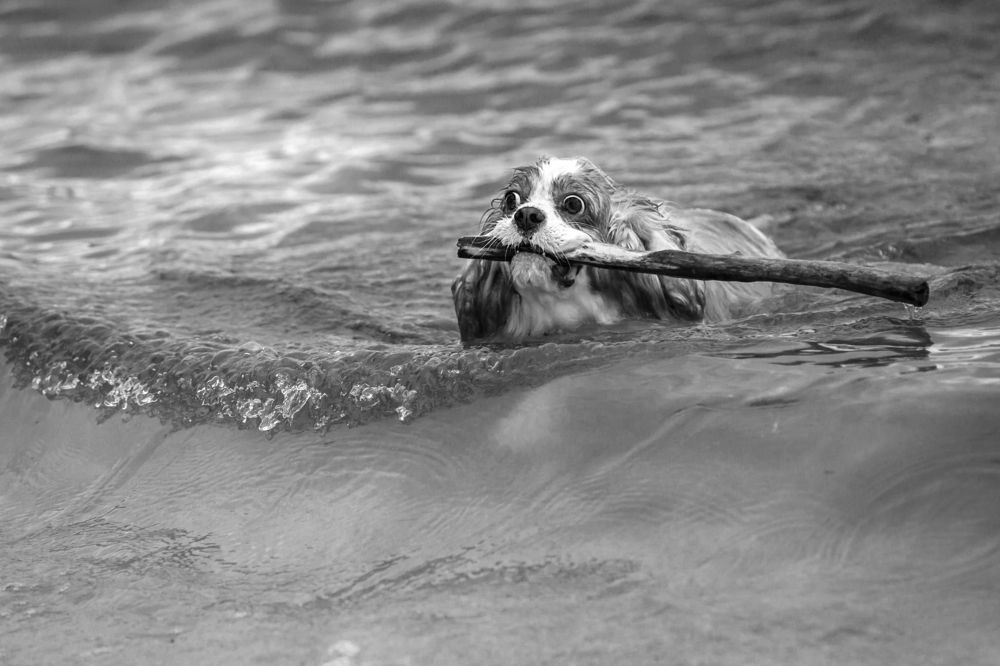 Фу !!! Доплыл !!!!!