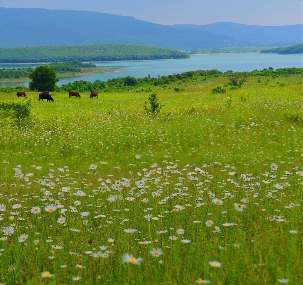 Байдарская долина.Крым.