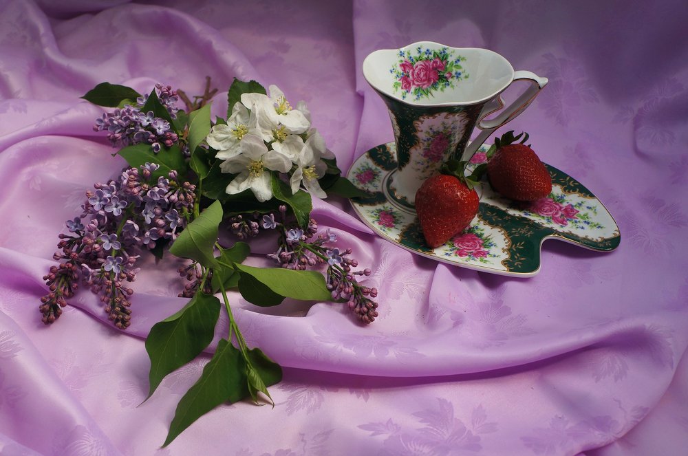 Этюд с клубникой