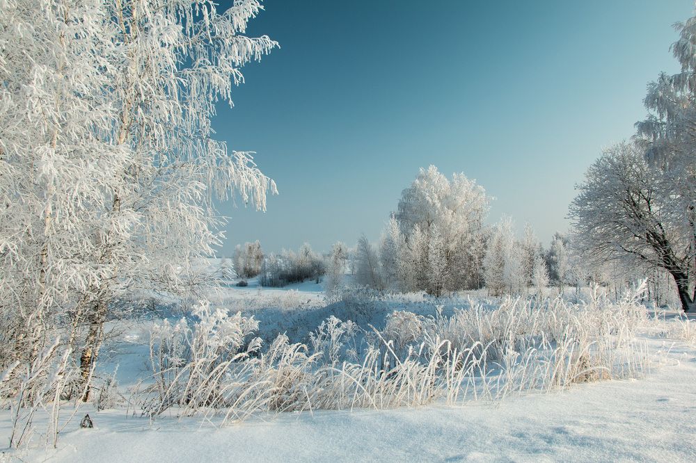 Фотография автора Николай Носов