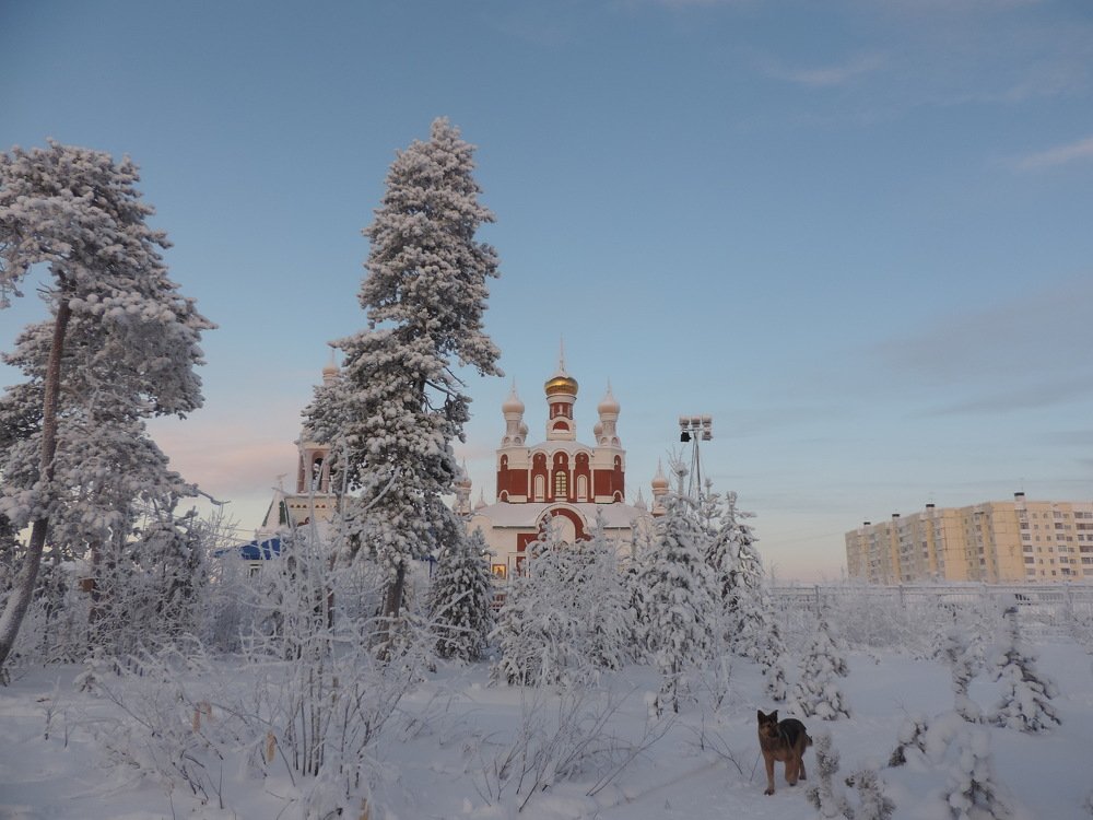 Рождественское утро.