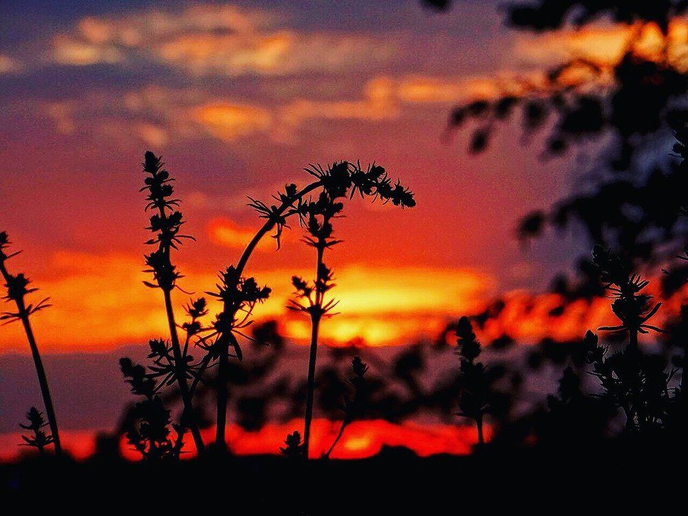 Photograph by Мельник Лена