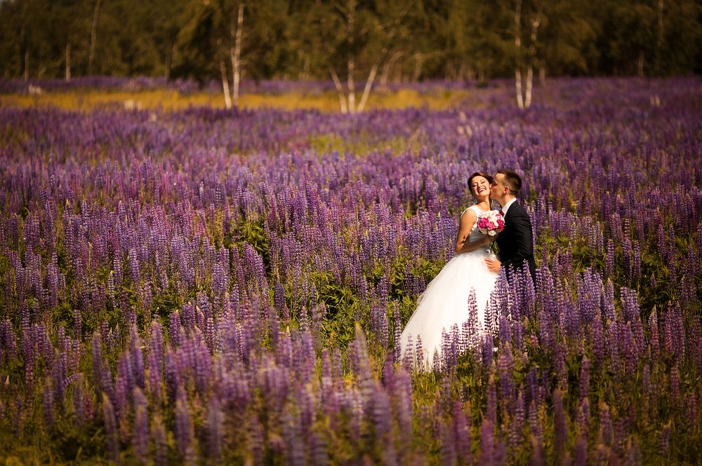 Теплота чувств