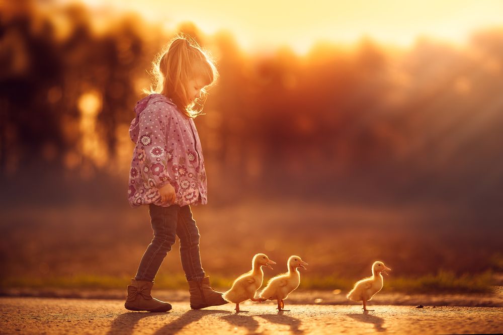 Дружно шагом