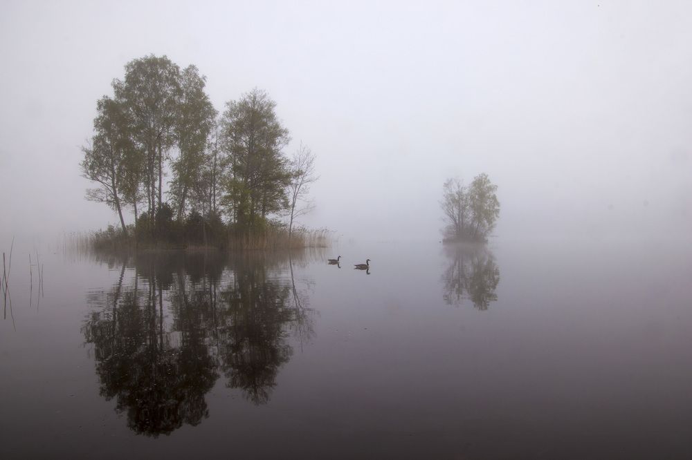 Photograph by Liudmila Drake