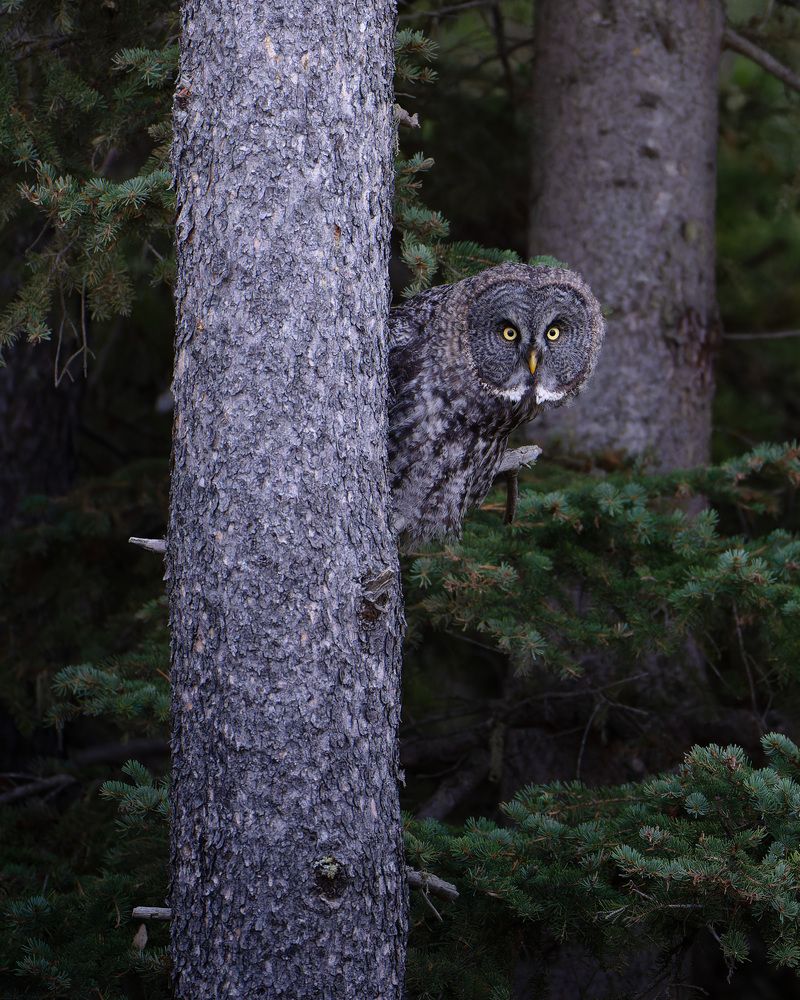 Фотография автора Karthik Subramaniam