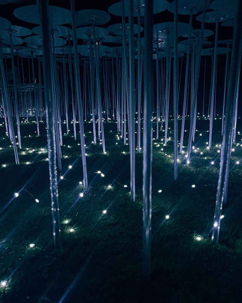 Фотография автора Яна Сидорова