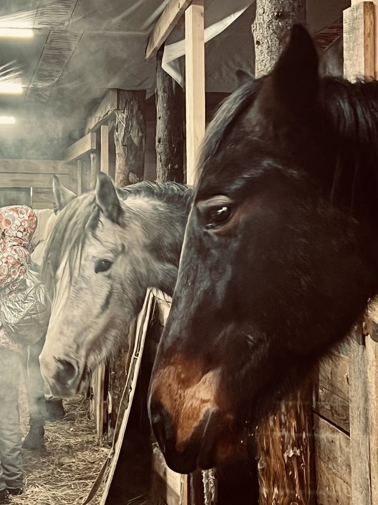 Photograph by Татьяна Михайловна