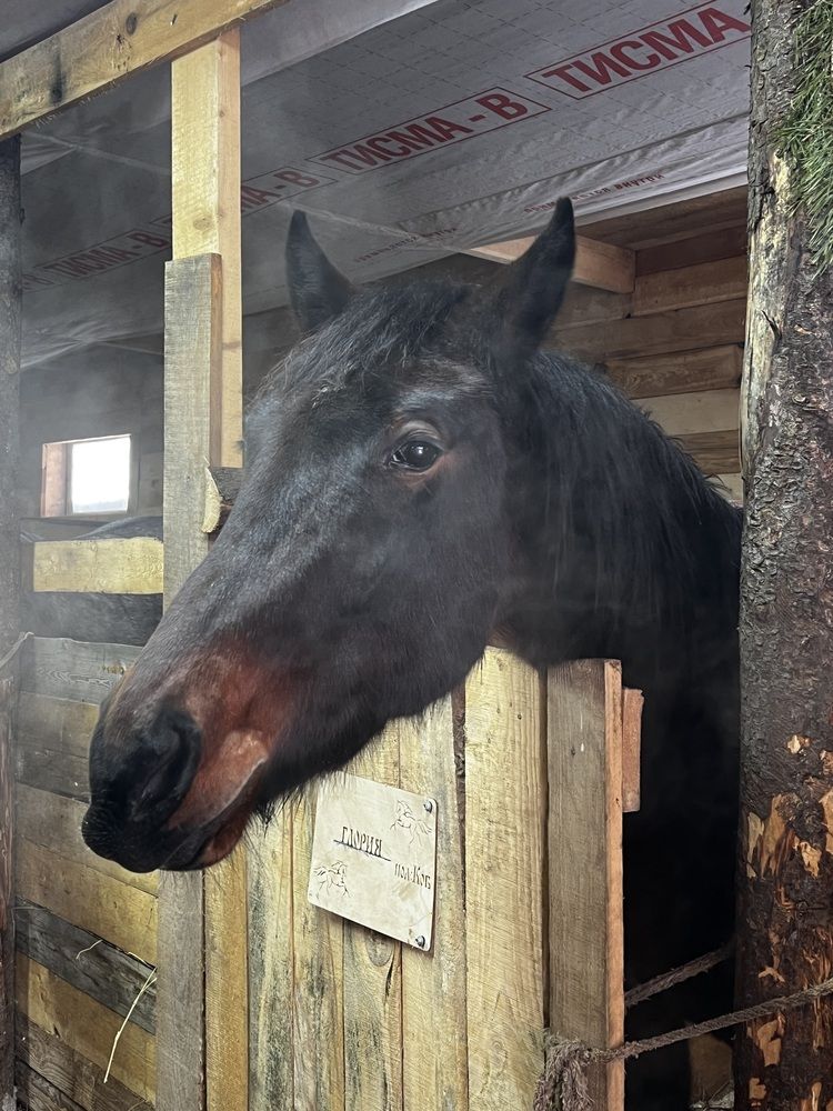 Photograph by Татьяна Михайловна