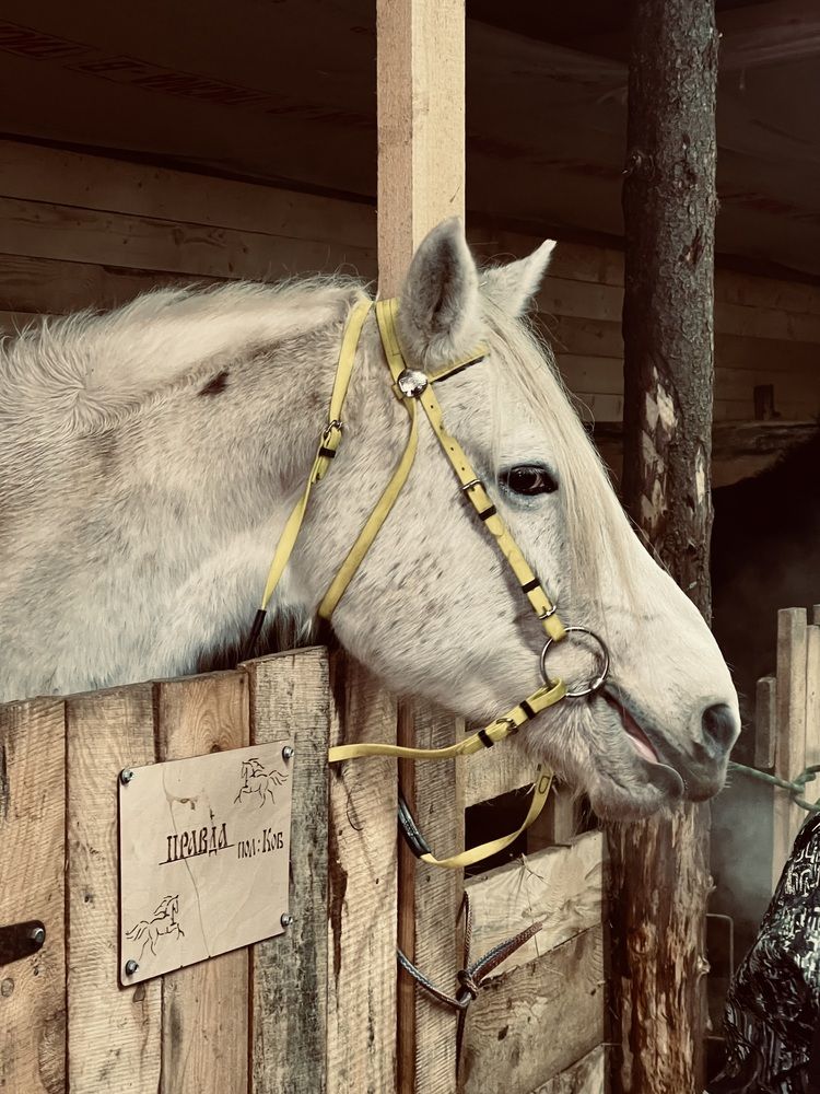 Photograph by Татьяна Михайловна