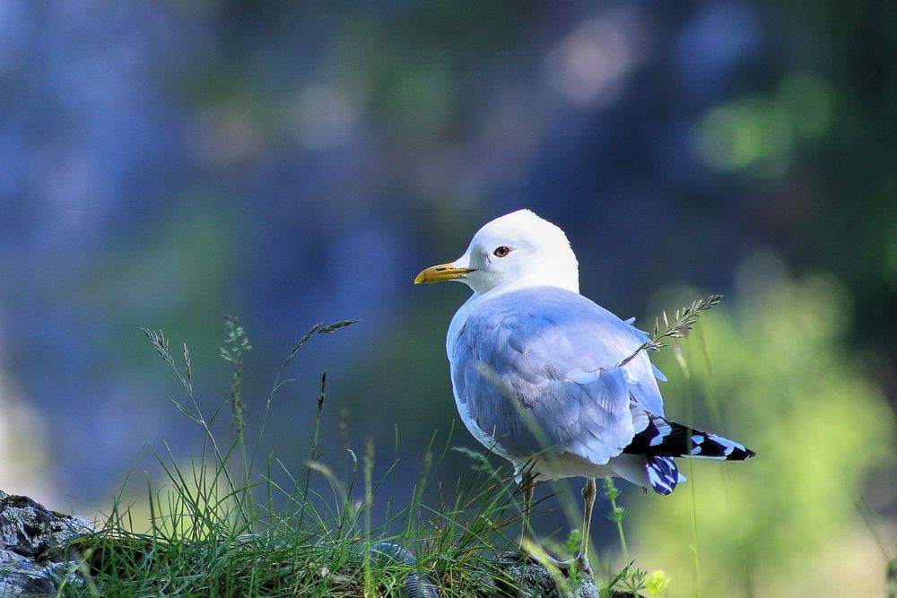 Photograph by Баглык Вячеслав