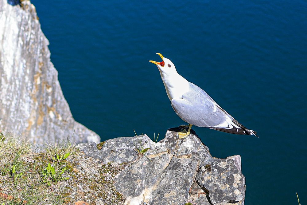 Photograph by Баглык Вячеслав