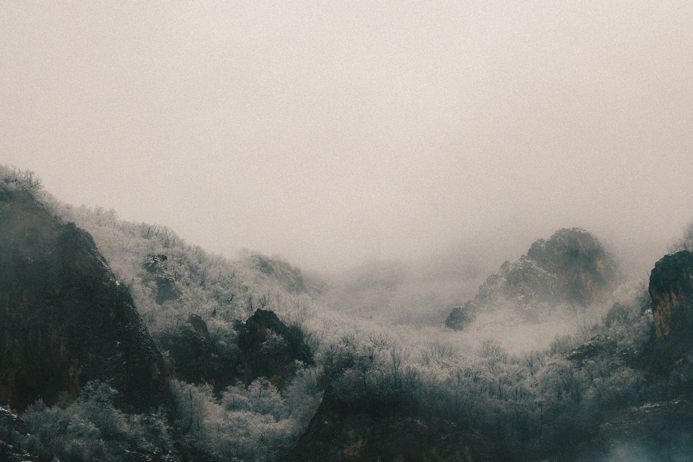 Photograph by Roman Vislobokov