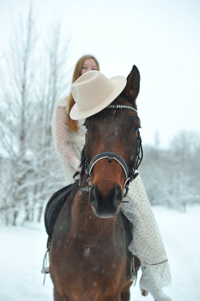 Photograph by Ольга Пушленкова