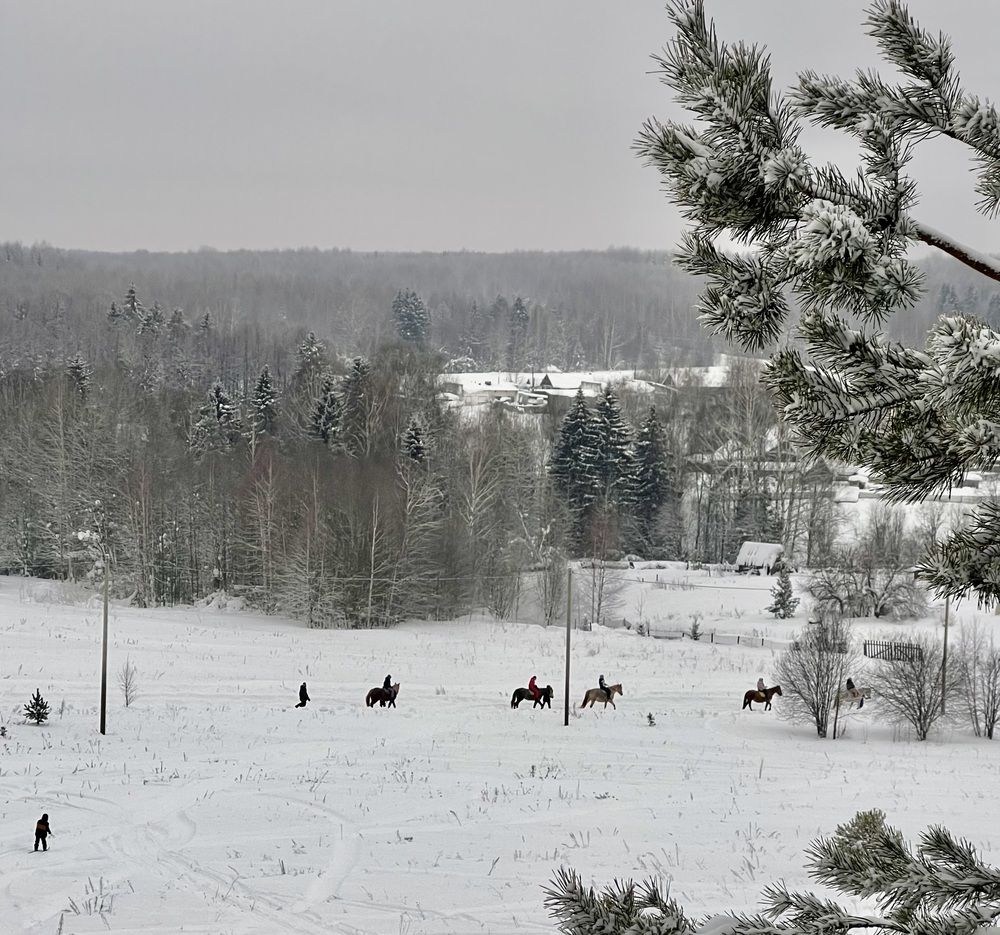 Photograph by Татьяна Михайловна