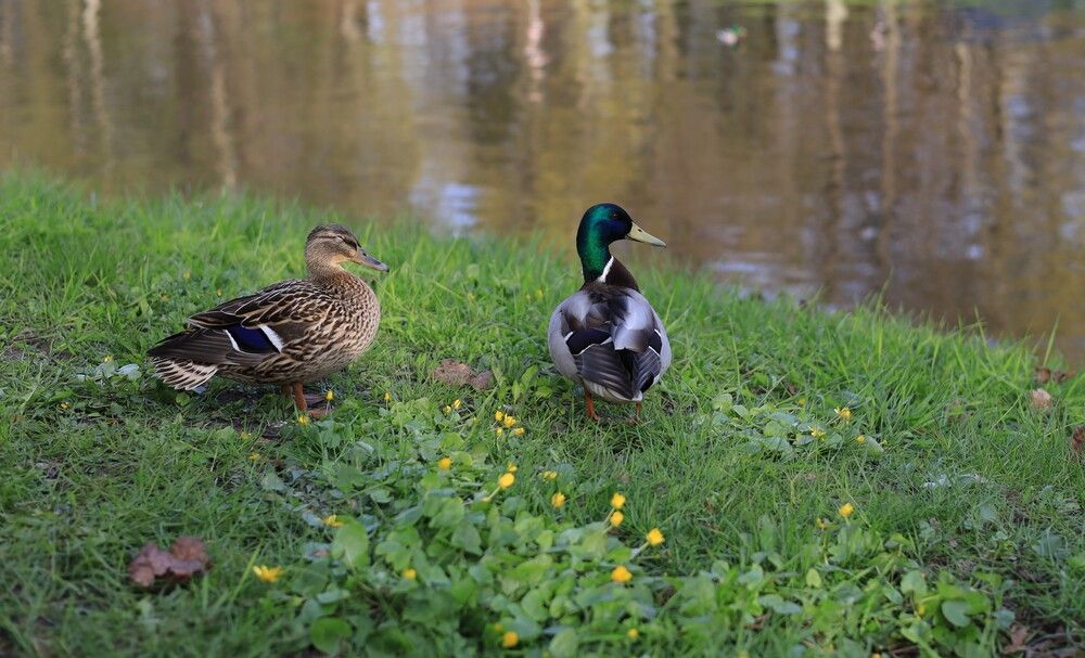 Photograph by Баглык Вячеслав