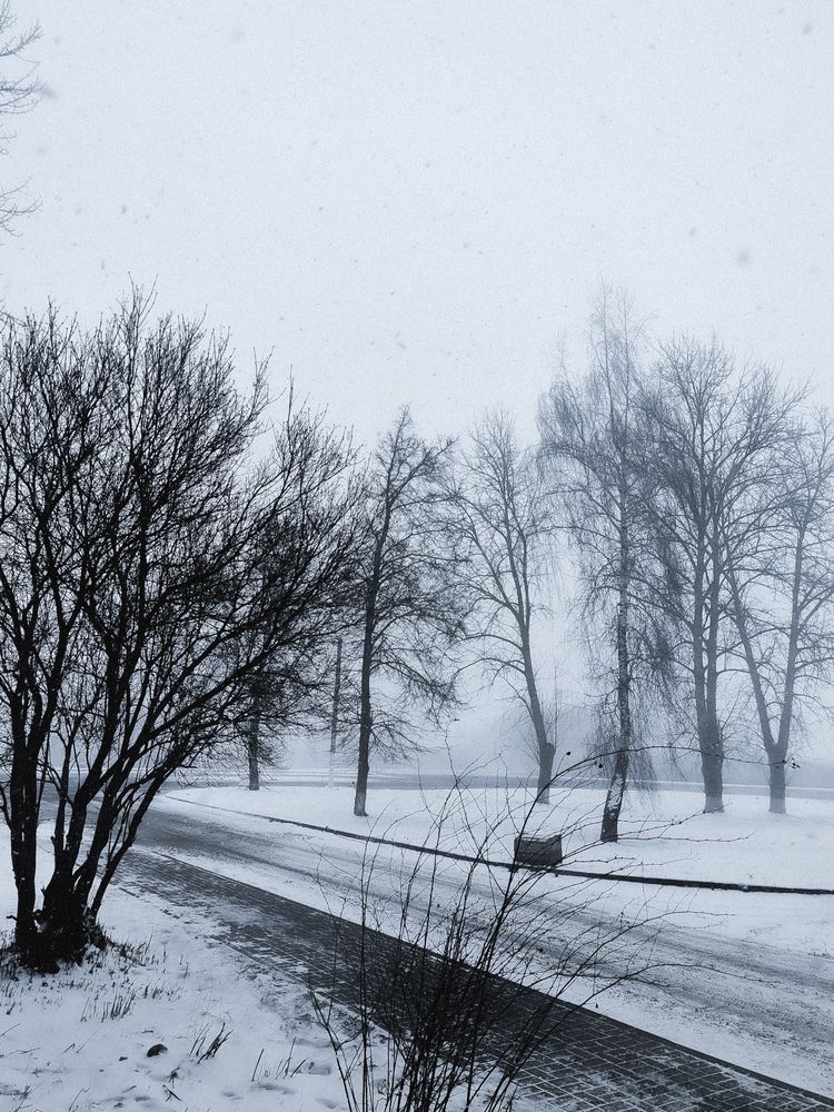 Фотография автора Алиса Исаева