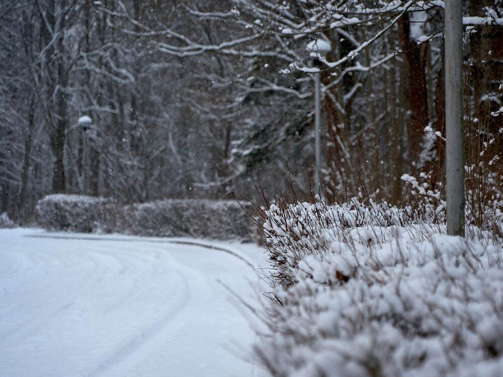 Фотография автора Dana Korolkova