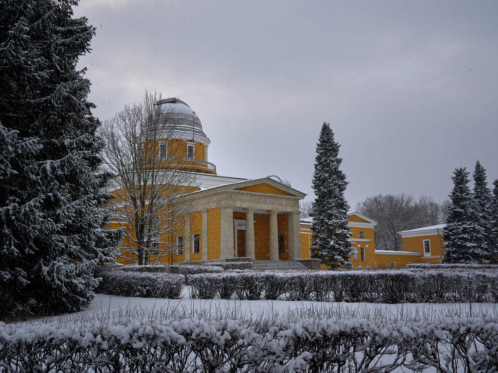 Фотография автора Dana Korolkova