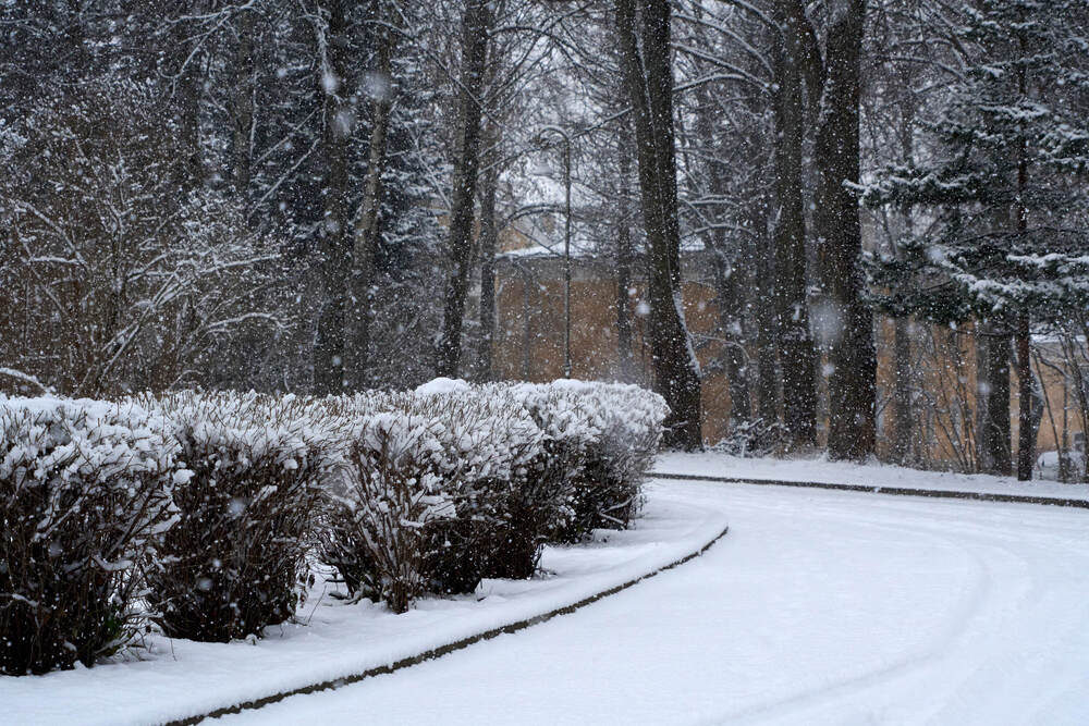 Фотография автора Dana Korolkova