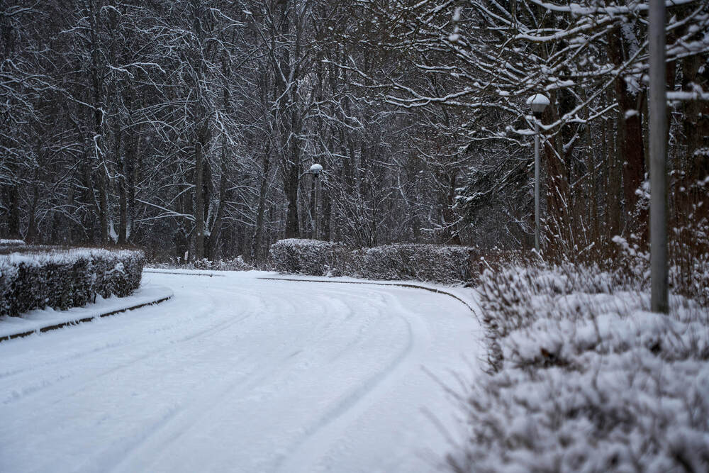 Фотография автора Dana Korolkova