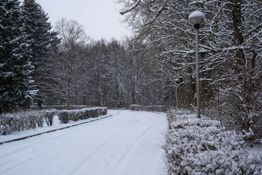 Фотография автора Dana Korolkova