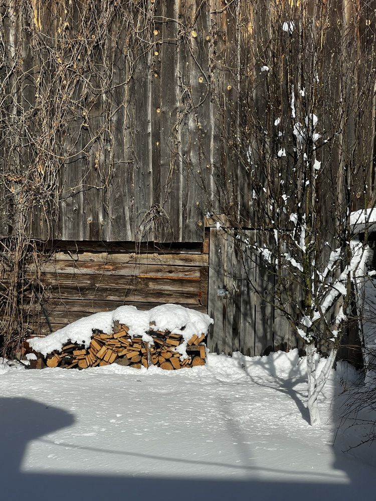 Photograph by Татьяна Михайловна