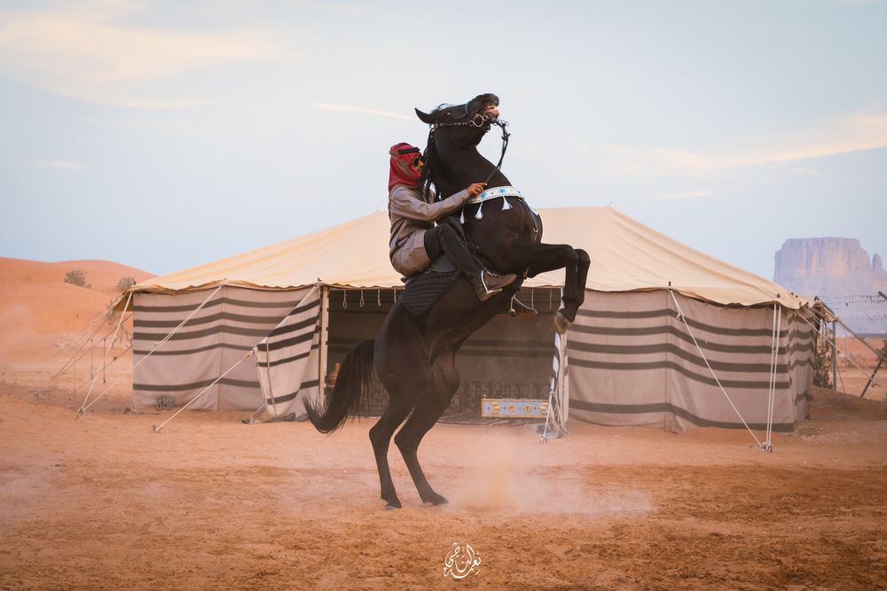 Photograph by Nemah Naji