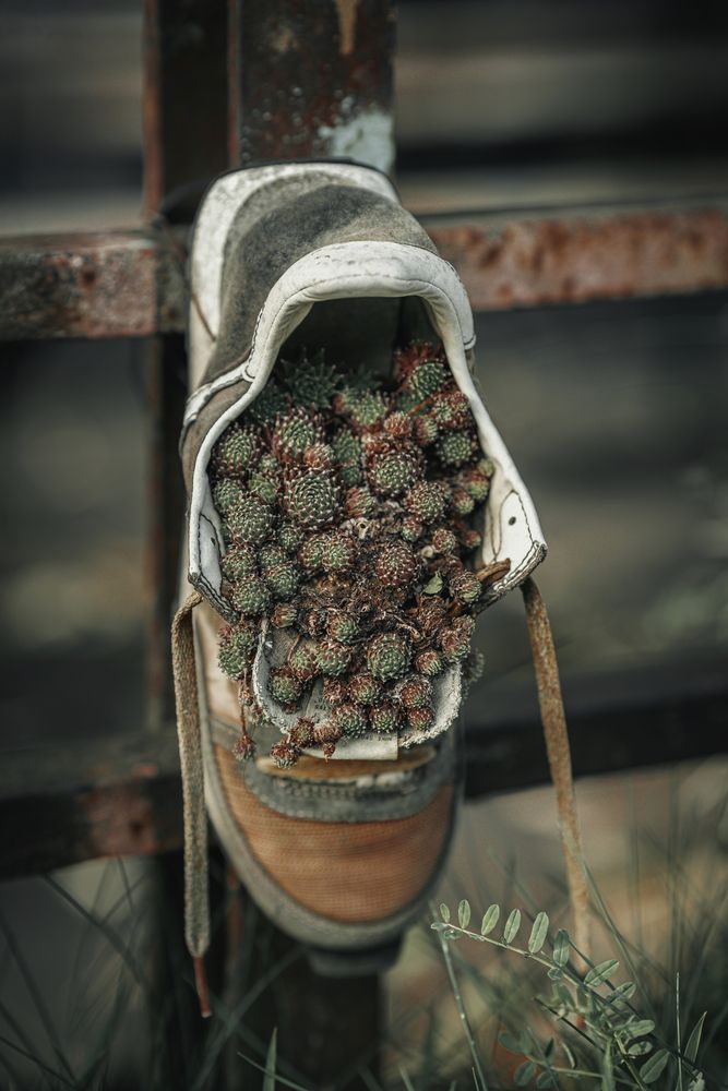 Фотография автора Jurijs Rudzeiss