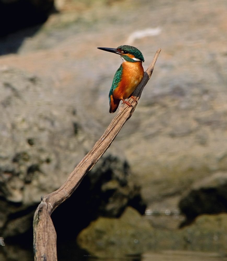Photograph by Владимир Буркат
