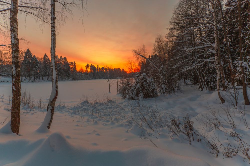 Photograph by Литвинов Александр