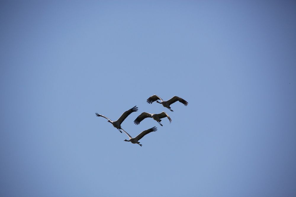 Photograph by Владимир Буркат