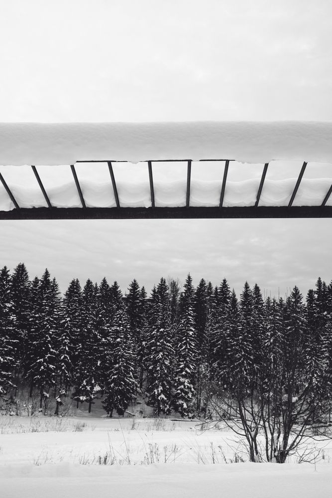 Фотография автора Ilya Merkulov