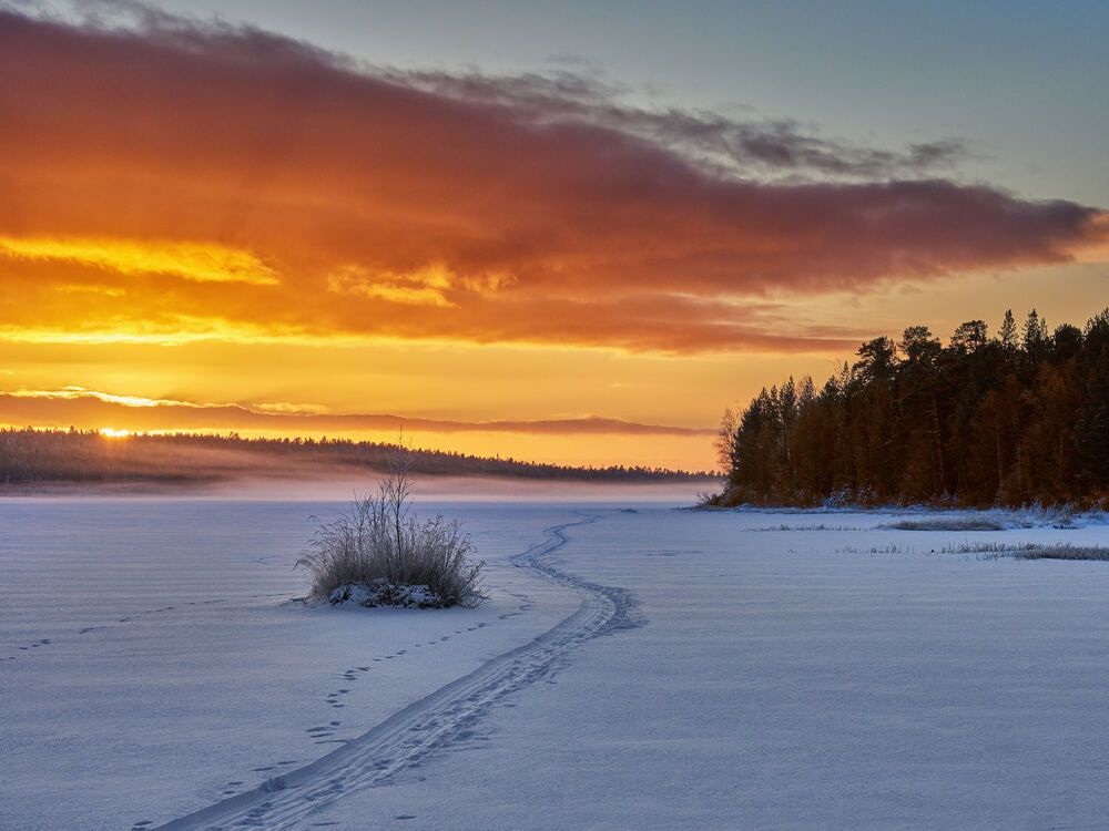 Photograph by Александр Авдушев