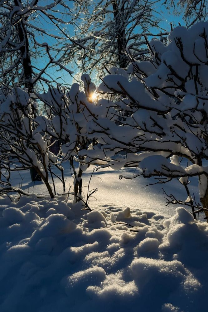 Photograph by Надежда Ефименко