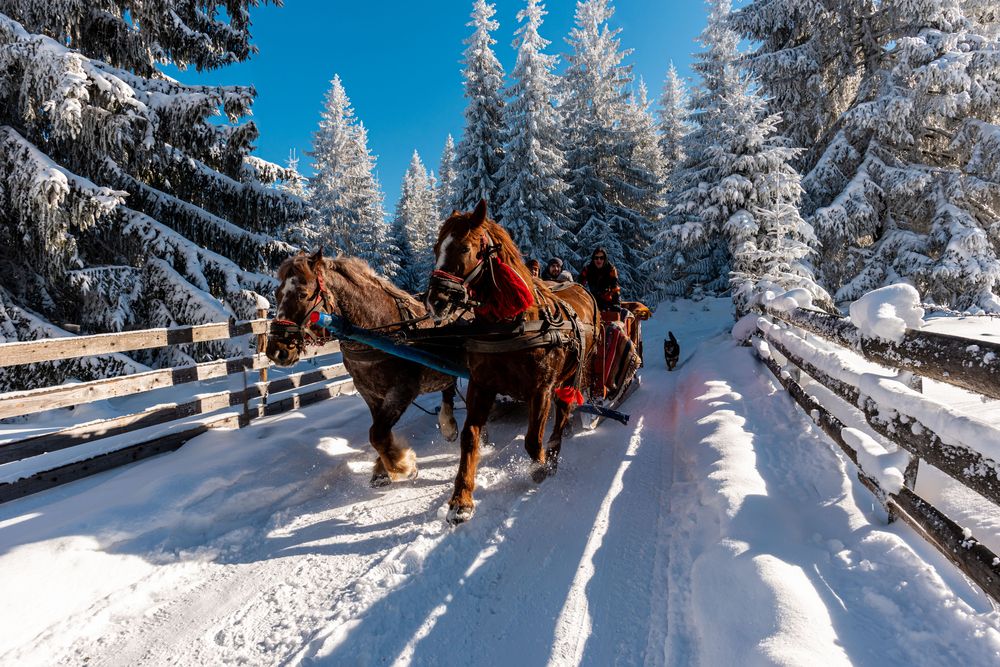 Photograph by levi bagy