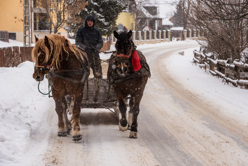 Photograph by levi bagy